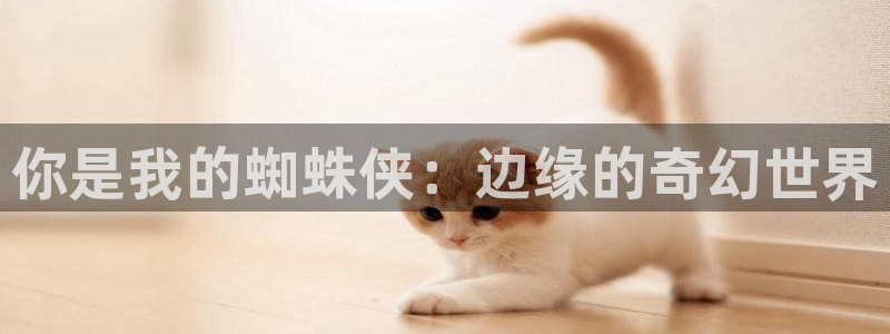 动漫免费女神：你是我的蜘蛛侠：边缘的奇幻世界