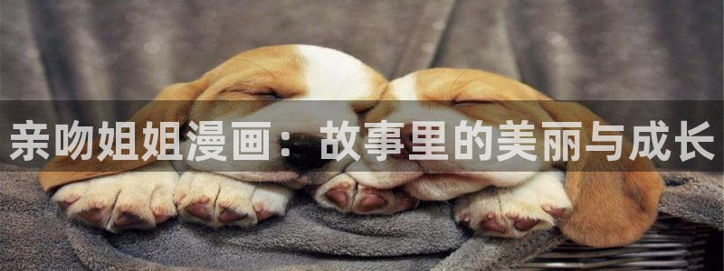 一拳超人第二季女神动漫：亲吻姐姐漫画：故事里的美丽与成长