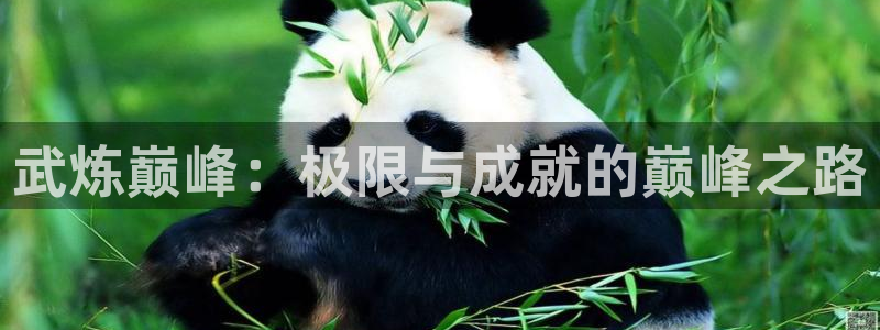 三月的女神漫画：武炼巅峰：极限与成就的巅峰之路