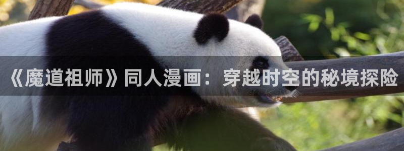 t80女神动漫：《魔道祖师》同人漫画：穿越时空的秘境探险