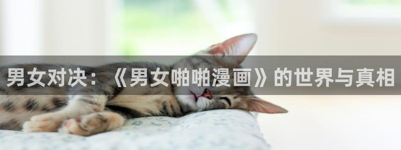 外星骇客家庭影视女神动漫：男女对决：《男女啪啪漫画》的世界与真相